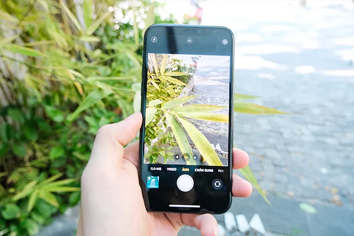 Hỗ trợ xóa phông và chụp đêm siêu đỉnh