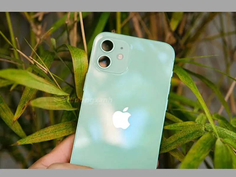 Trong các màu được ra mắt, iPhone 12 màu nào đẹp nhất ?
