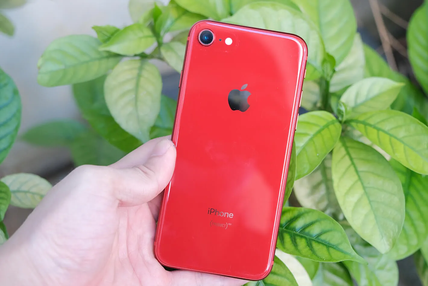 iPhone 8 256GB có thiết kế đẹp