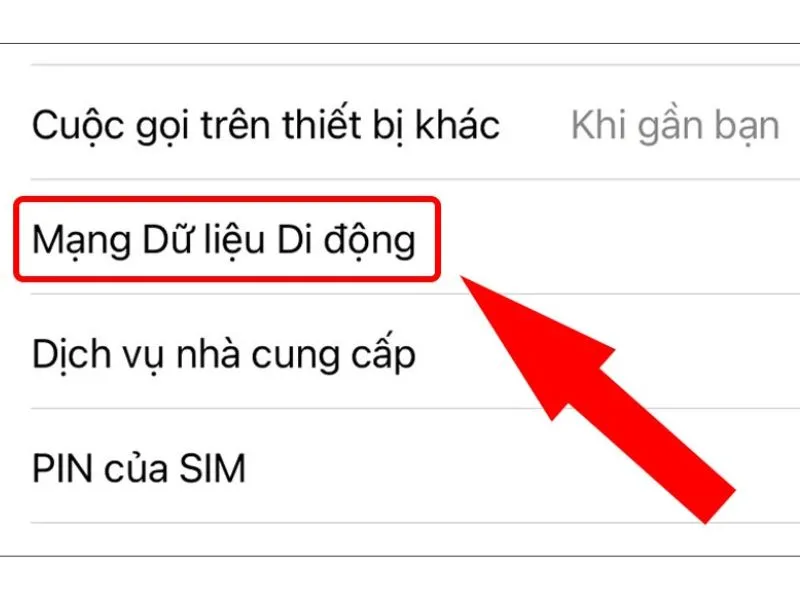 Chọn mục “Mạng dữ liệu di động”
