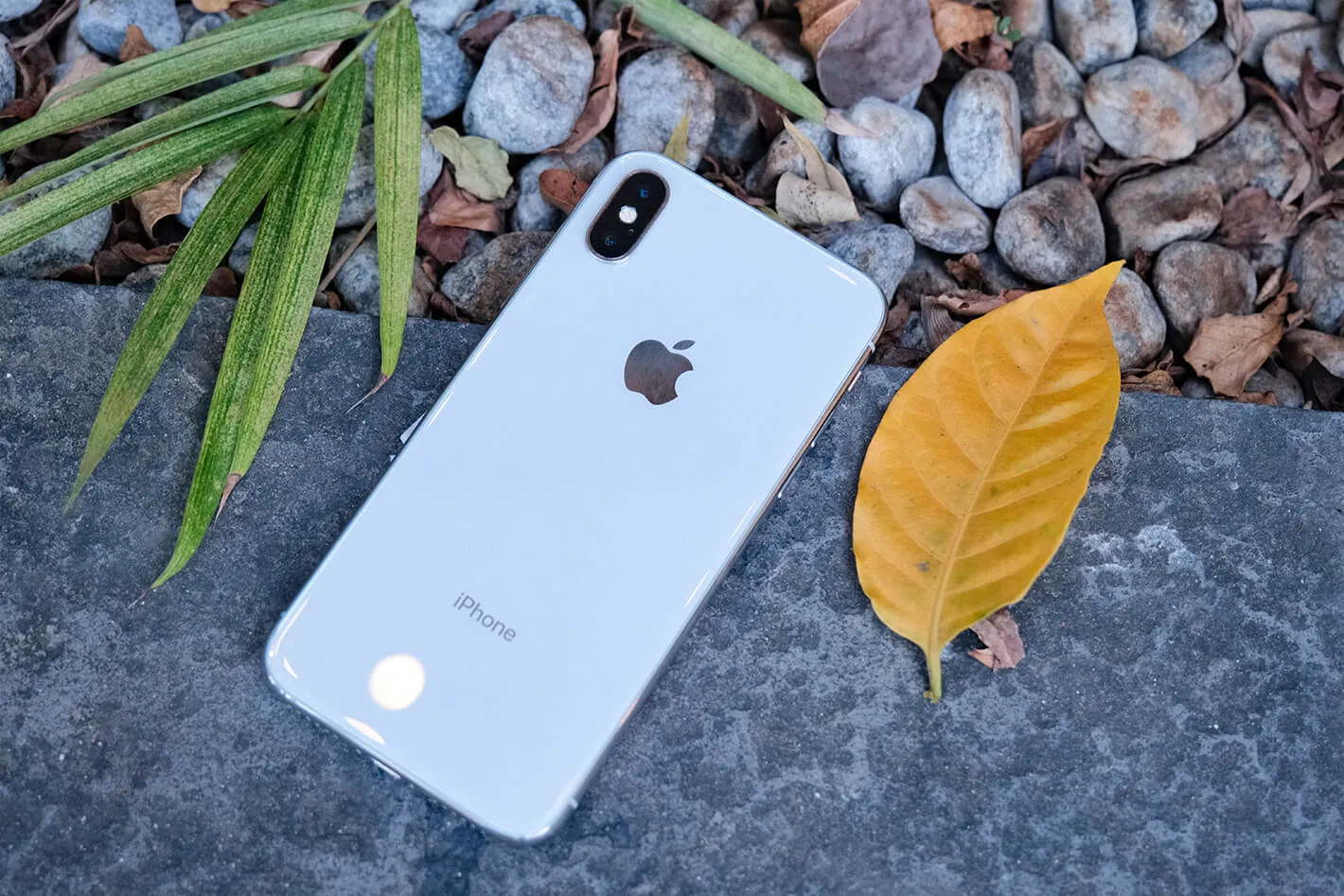 Thiết kế iPhone X hoàn toàn mới