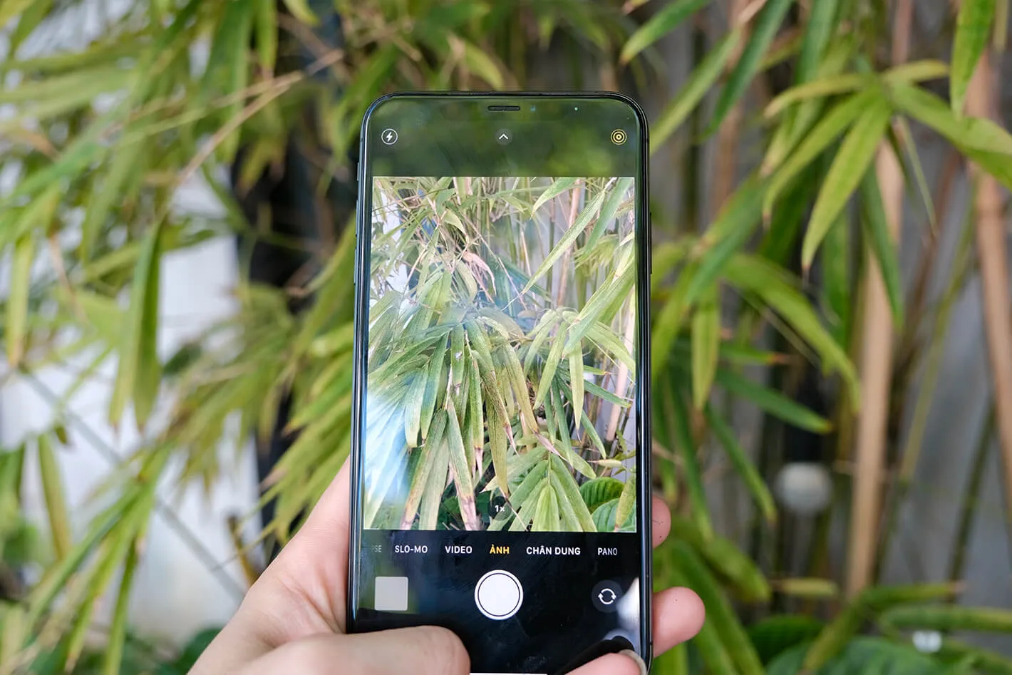 Camera kép ấn tượng