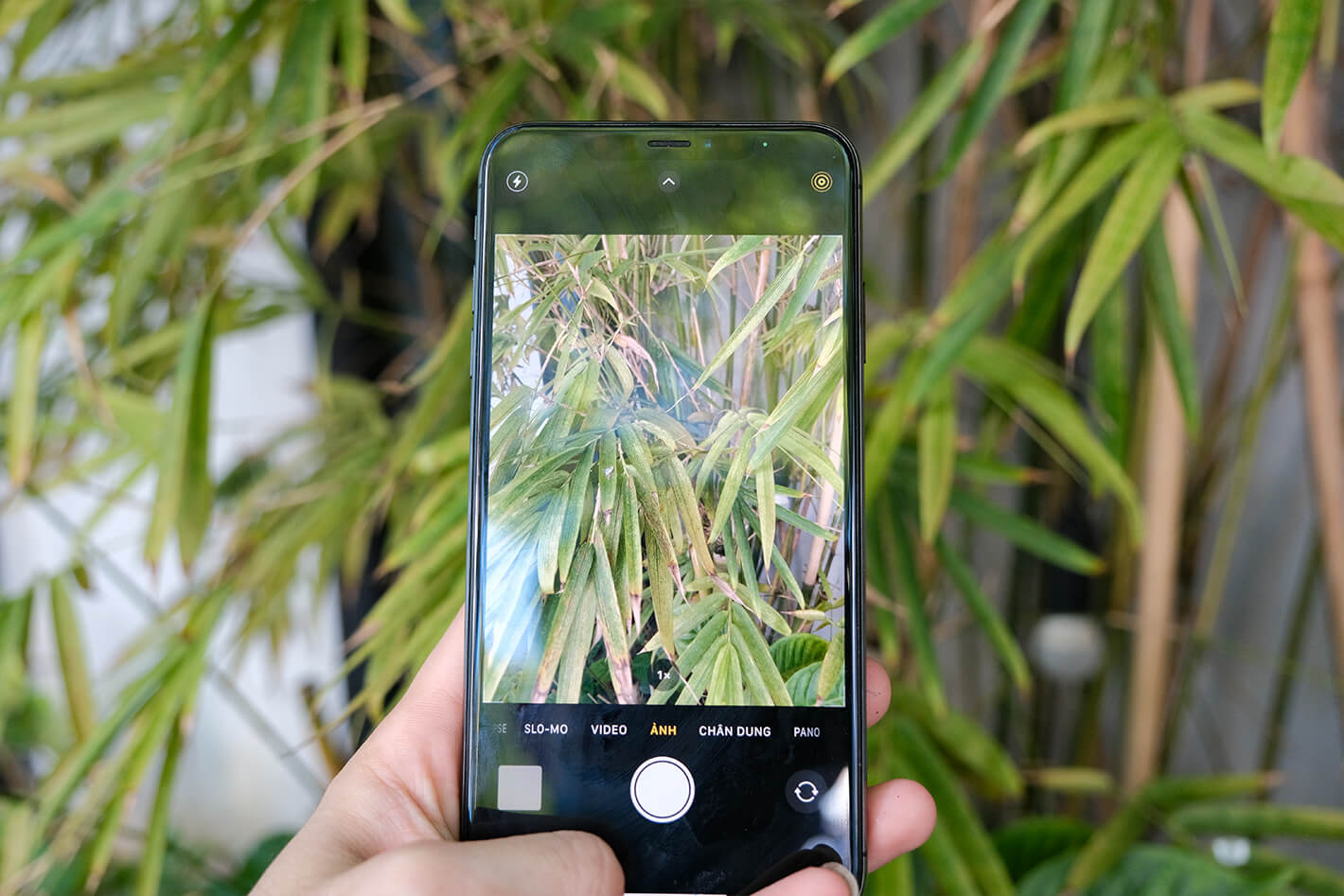 camera iPhone X 64GB chân thực, sắc nét đến từng chi tiết