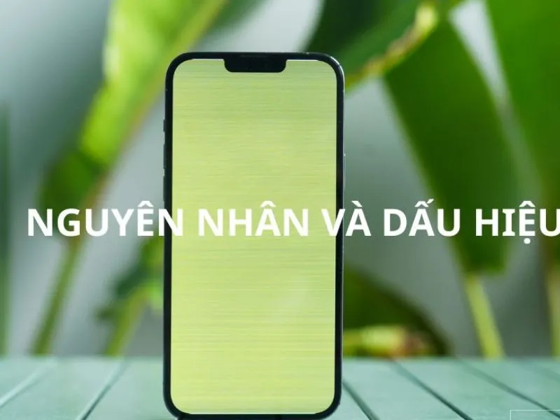 nguyen nhan iphone 14 pro max loi man hinh
