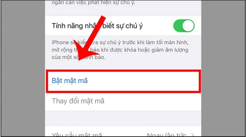 mã pin iphone là gì
