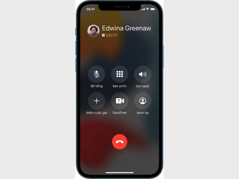 Màn hình cuộc gọi đến iPhone
