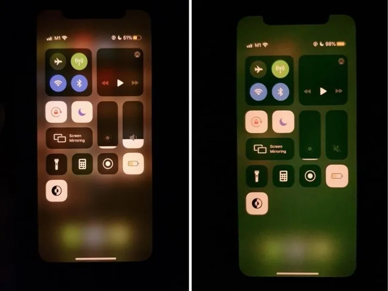 Biểu hiện màn hình iPhone bị xanh lá cây