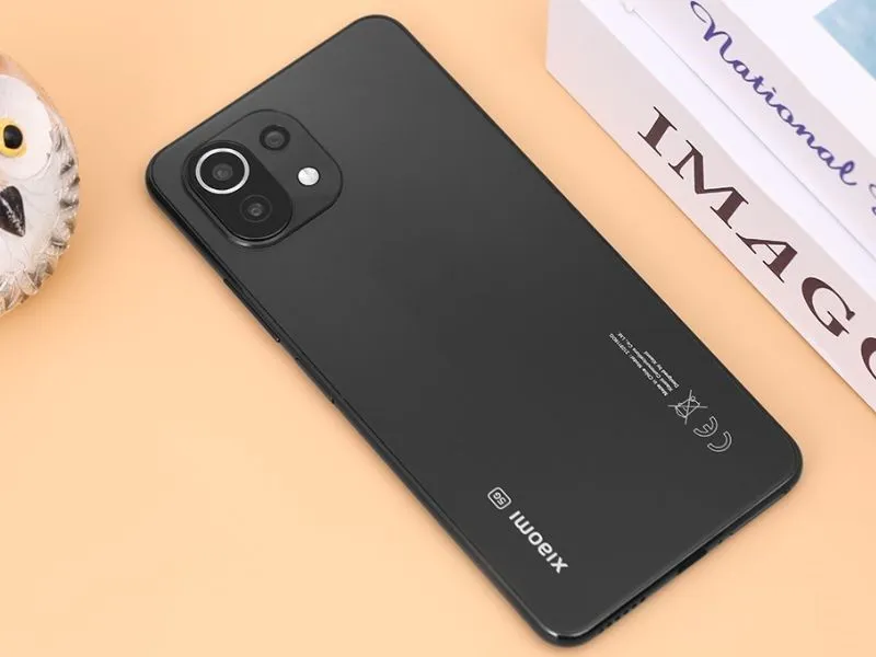 Phù hợp cho người mệnh Thủy