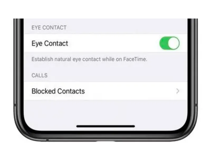 Tiếp xúc bằng mắt FaceTime
