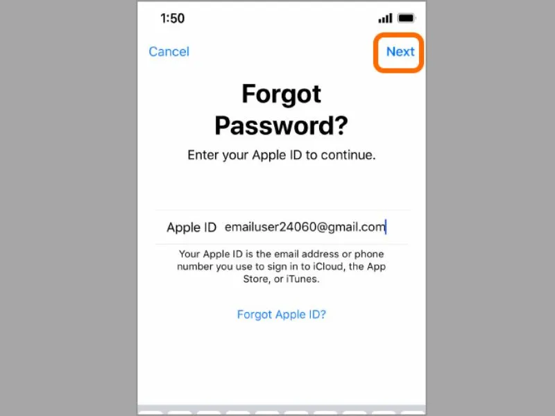 Nhập chính xác địa chỉ Apple ID