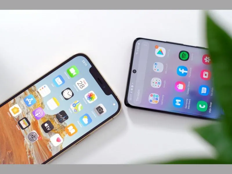 Phần Notch của iPhone 12 Pro Max chiếm diện tích màn hình nhiều hơn S21 Ultra