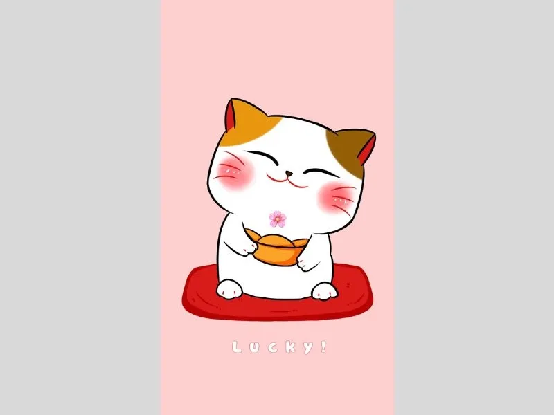 hình nền mèo may mắn nhật bản