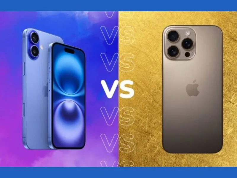 So sánh iPhone 16 Plus và 16 Pro Max về kích thước
