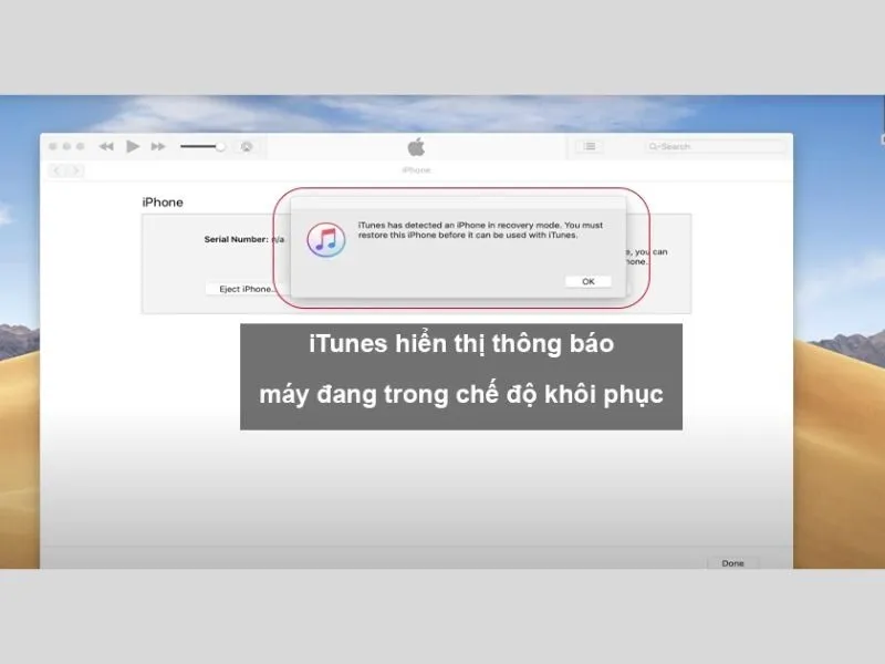Màn hình máy tính hiển thị thông báo thành công
