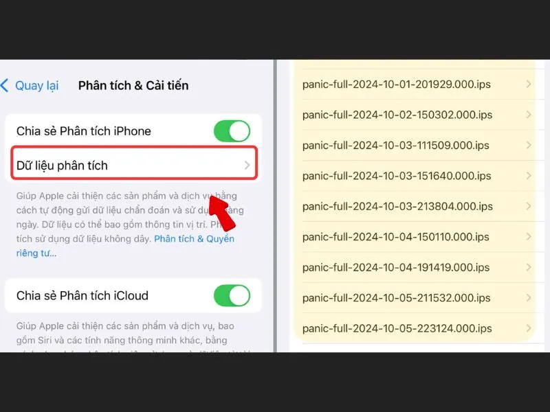 Khắc phục panic full nhanh chóng