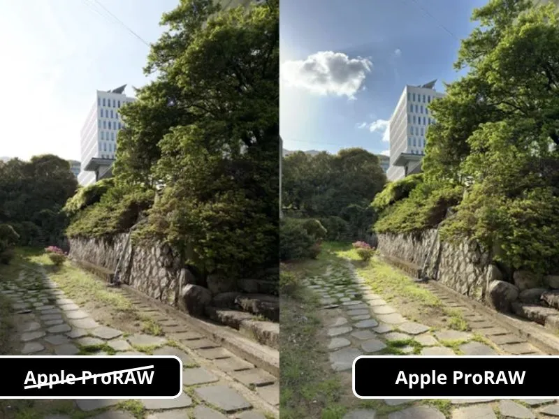 Ảnh chụp bằng Apple ProRAW