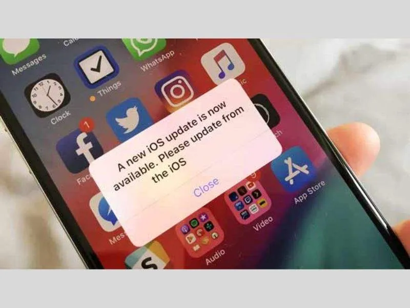 Chưa cập nhật hệ điều hành mới trên iPhone