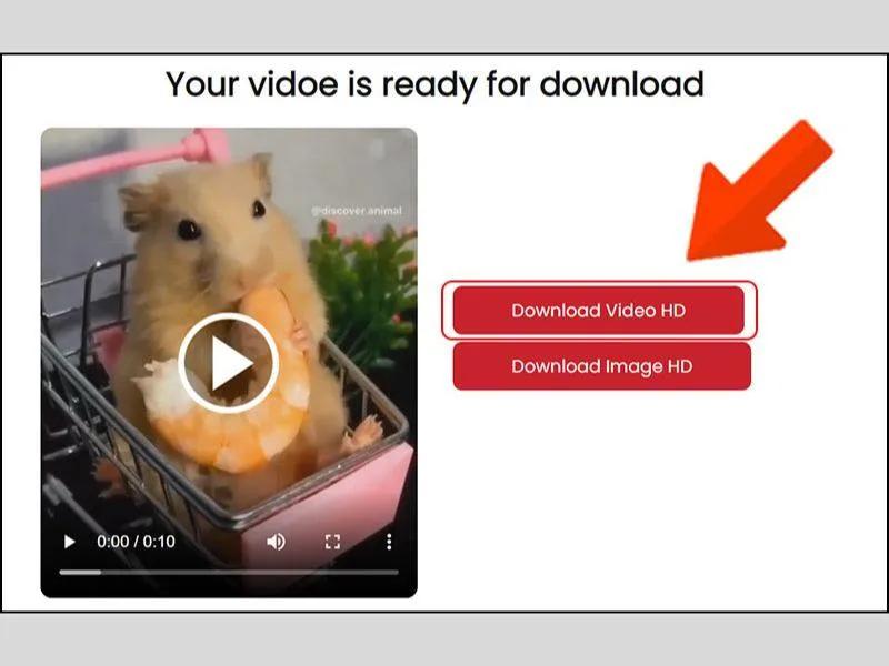 Hiển thị hai tùy chọn video và ảnh để bạn chọn