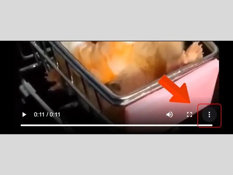 Tải video pinterest xuống máy tính