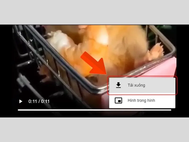 Tải video Pinterest - Nhấn Tải xuống để lưu video