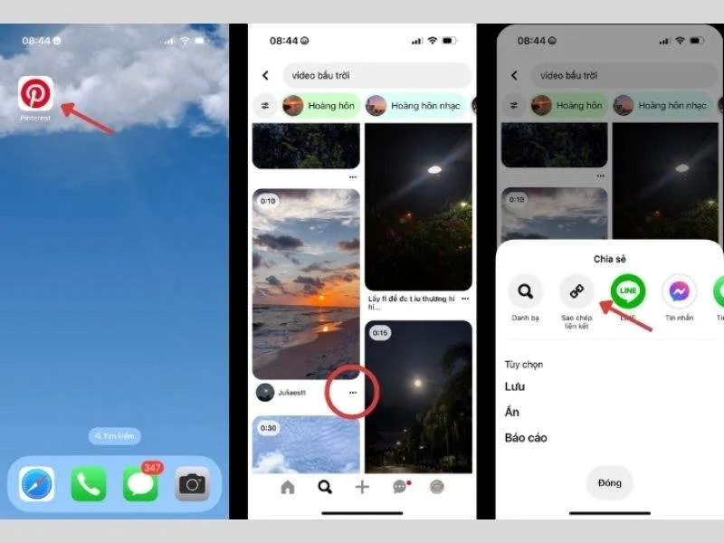 Sao chép liên kết video muốn tải xuống
