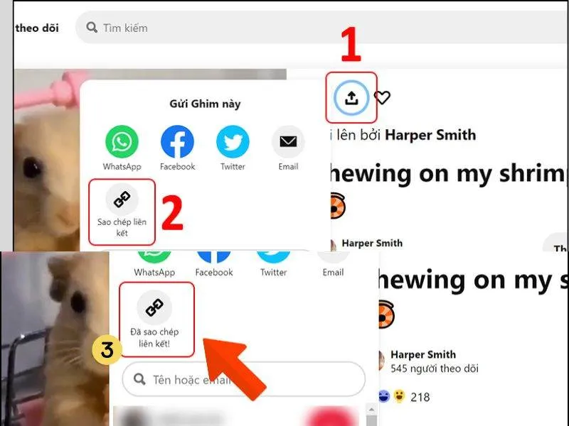 Sao chép liên kết của video cần tải xuống