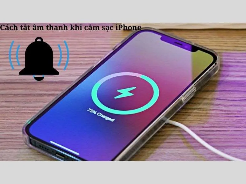 Cách tắt âm thanh khi cắm sạc iPhone