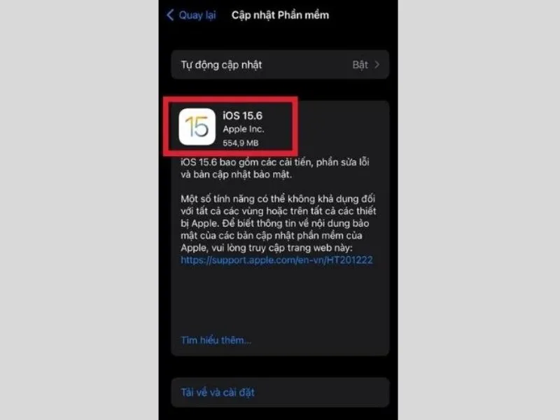 Xác định iPhone của bạn chạy iOS 15 trở lên
