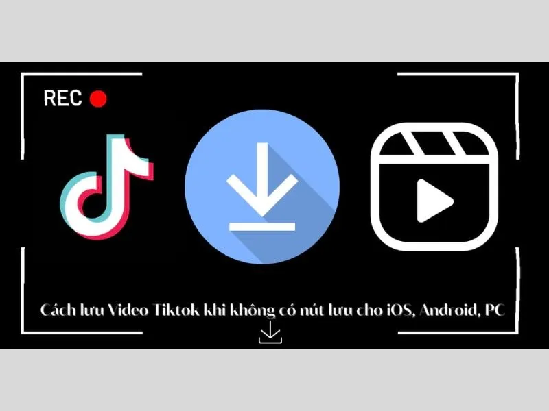 Cách lưu video Tiktok khi không có nút lưu