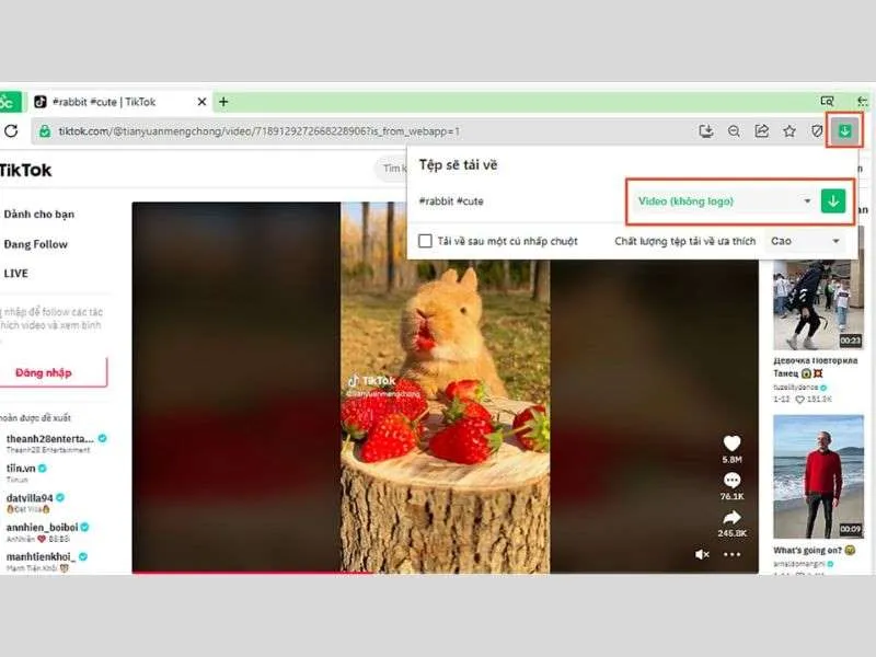 Cách lưu video TikTok khi không có nút lưu