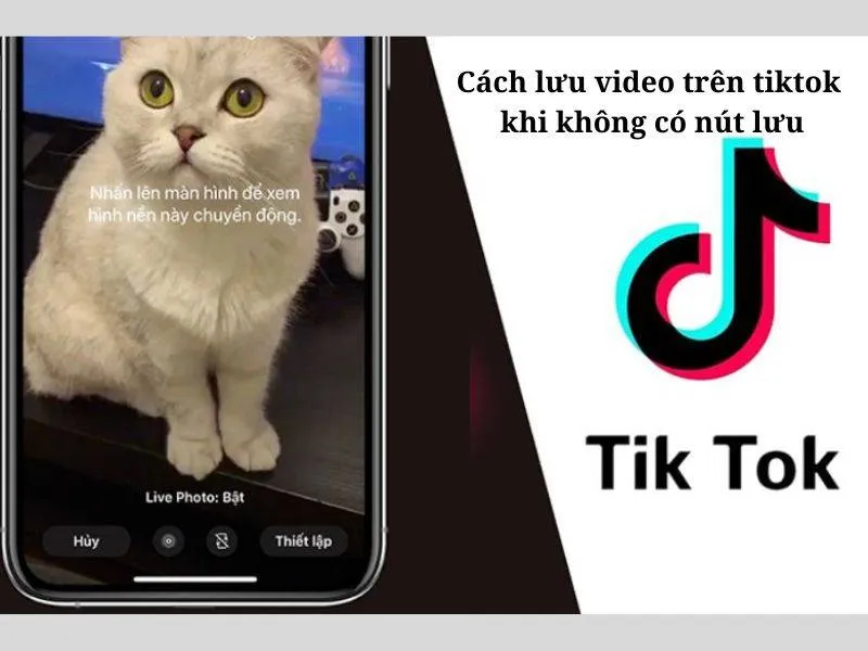 Tải video khi không có nút lưu trên điện thoại