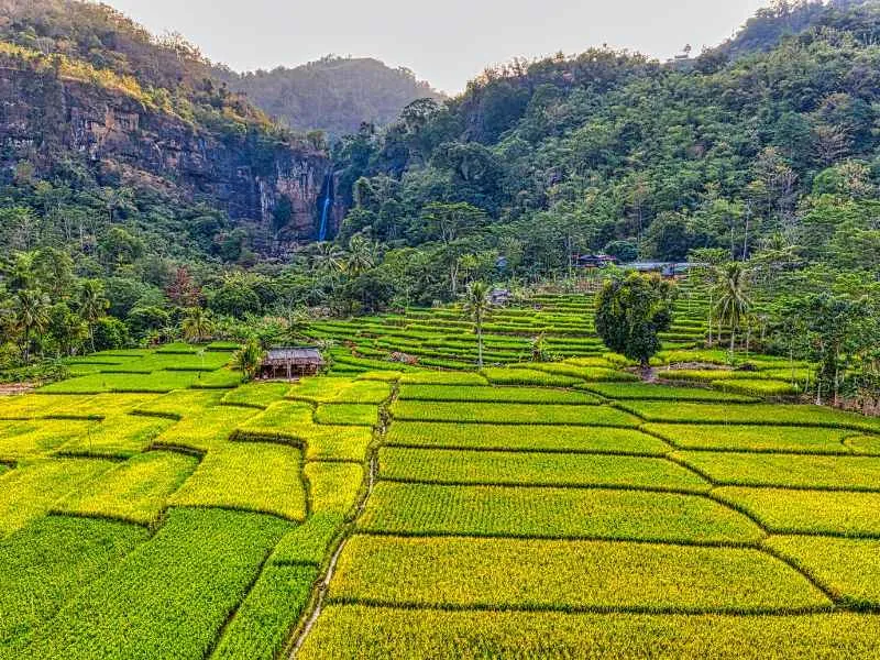 Hình nền cảnh thiên nhiên vùng quê
