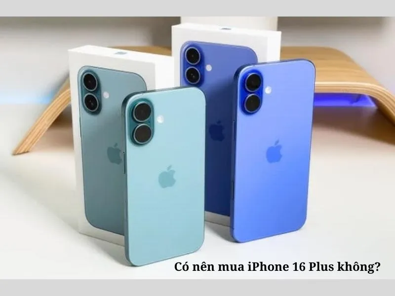 Quyết định sở hữu hay không phụ thuộc nhu cầu cá nhân