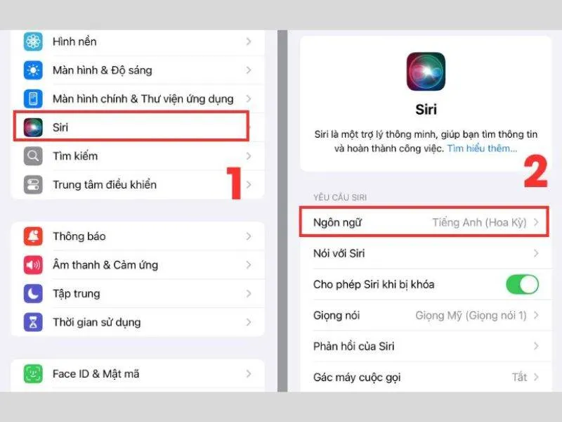 Thay đổi ngôn ngữ mặc định