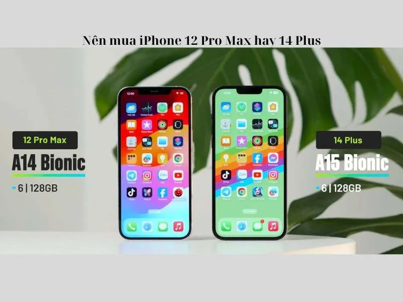 Lựa chọn phụ thuộc vào nhiều yếu tố