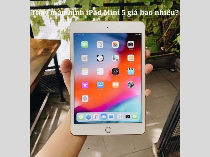 Thay màn hình iPad Mini 5 Tại Di Động Xanh