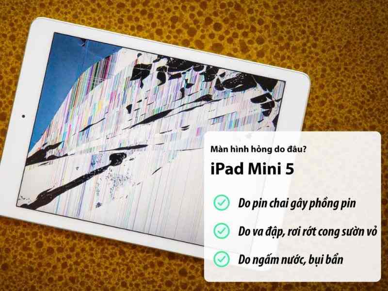 Nguyên nhân màn hình iPad Mini 5 hỏng