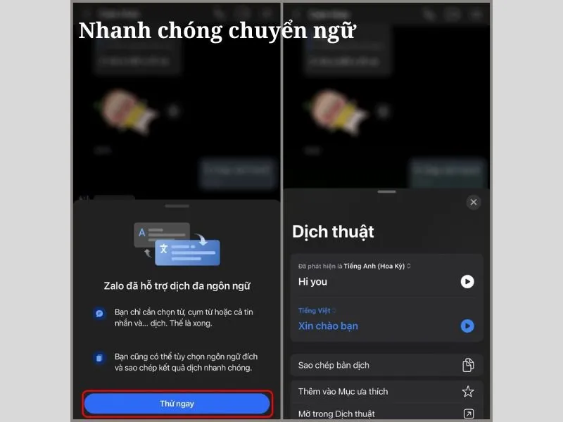 Cách dịch tin nhắn trên Zalo đa ngôn ngữ