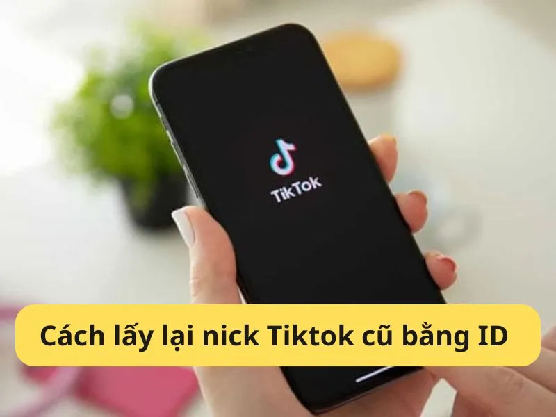 Hướng dẫn chi tiết cách lấy lại nick Tiktok cũ bằng ID chỉ vài bước