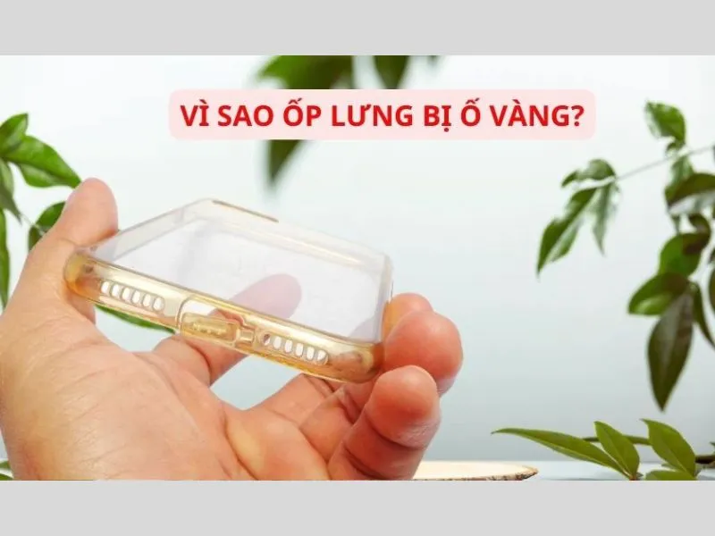 Có nhiều nguyên nhân khiến ốp lưng bị vàng