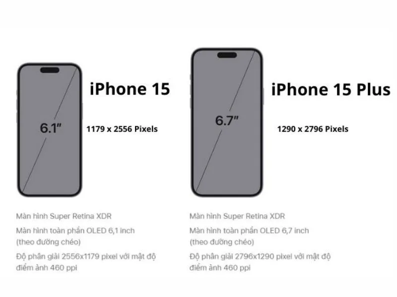 So sánh iPhone 15 với iPhone 15 Plus về màn hình