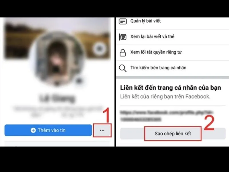 Tiến hành sao chép liên trang cá nhân Facebook