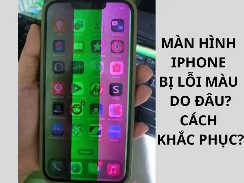 Màn hình iPhone bị lỗi màu 