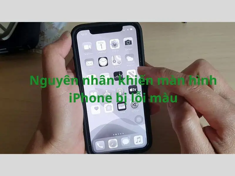 Có nhiều nguyên nhân khiến màn hình iPhone bị lỗi màu