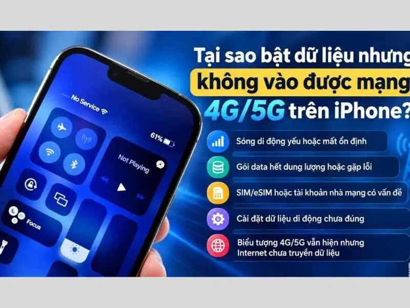 Một số nguyên nhân khiến iPhone không vào mạng dù có internet