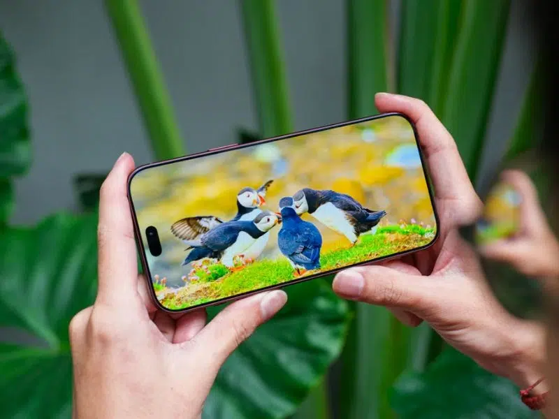 iPhone 18 Pro Max mang lại sự ổn định và thời gian sử dụng suốt cả ngày dài
